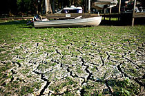 美國遭受56年來最嚴(yán)重干旱 農(nóng)牧業(yè)受挫