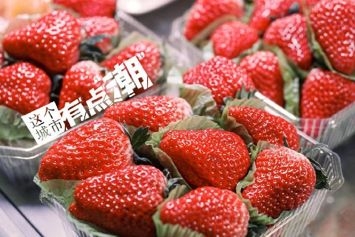 丹東：這一口鮮甜，開啟冬日“莓”好時(shí)光