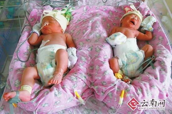 女子產下1男3女四胞胎(組圖)