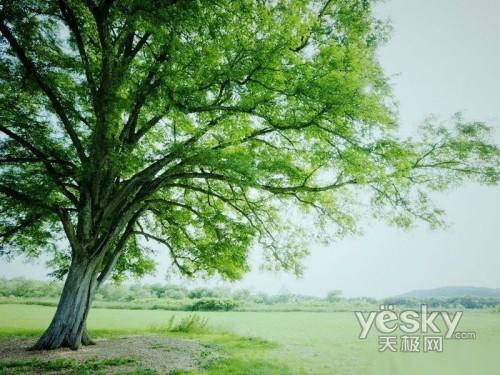 神秘的s軍團(tuán) 深度剖析聯(lián)想ThinkPad T400s