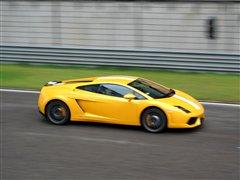 (q)Uţw(yn)mLP550-2 ܇֮