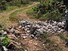 G 500領(lǐng)銜——試駕奔馳全系SUV車(chē)型 汽車(chē)之家 G 500領(lǐng)銜——試駕奔馳全系SUV車(chē)型 汽車(chē)之家