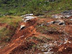 G 500領(lǐng)銜——試駕奔馳全系SUV車(chē)型 汽車(chē)之家 G 500領(lǐng)銜——試駕奔馳全系SUV車(chē)型 汽車(chē)之家