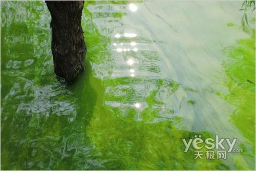 太空小丑平安著陸 智能長焦數(shù)碼相機(jī)推薦