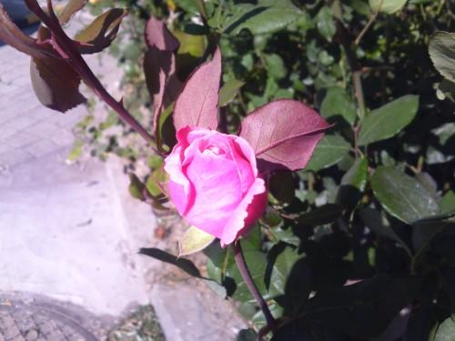 21:9寬屏怪獸手機(jī) LG BL40e評(píng)測(cè)報(bào)告