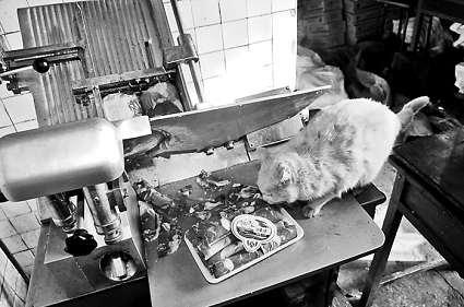 иõƬϵİɫ؈fƬؓ(f)؟(z)иƬŮӴ󲿷֕r(sh)ҕҊ(jin) MDƬ (bo)ӛ  z