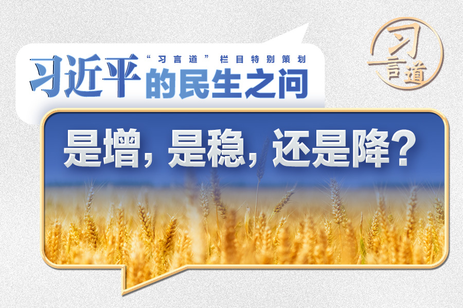 習近平的民生之問｜“是增，是穩(wěn)，還是降？”