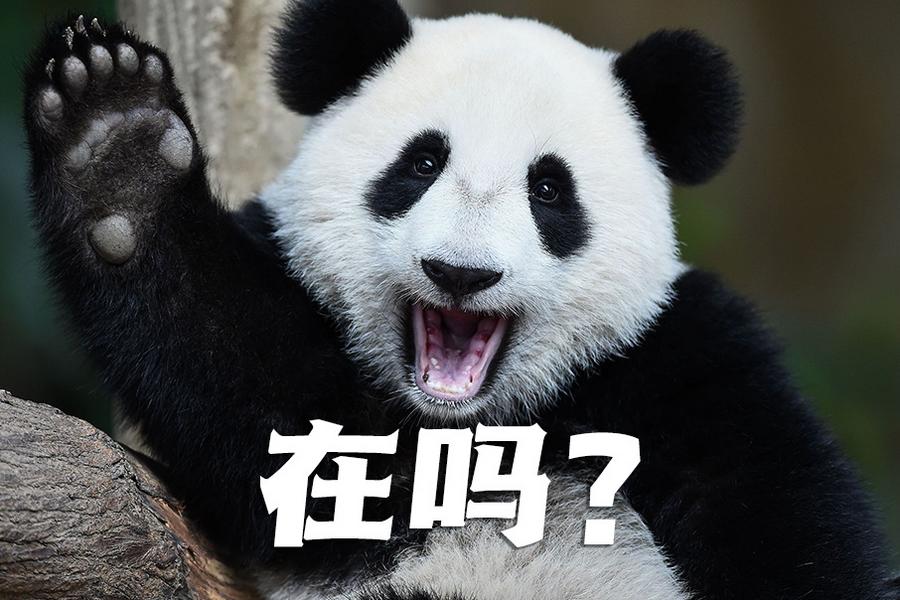 【世界微笑日特刊】嘿嘿，今天你笑了嗎？